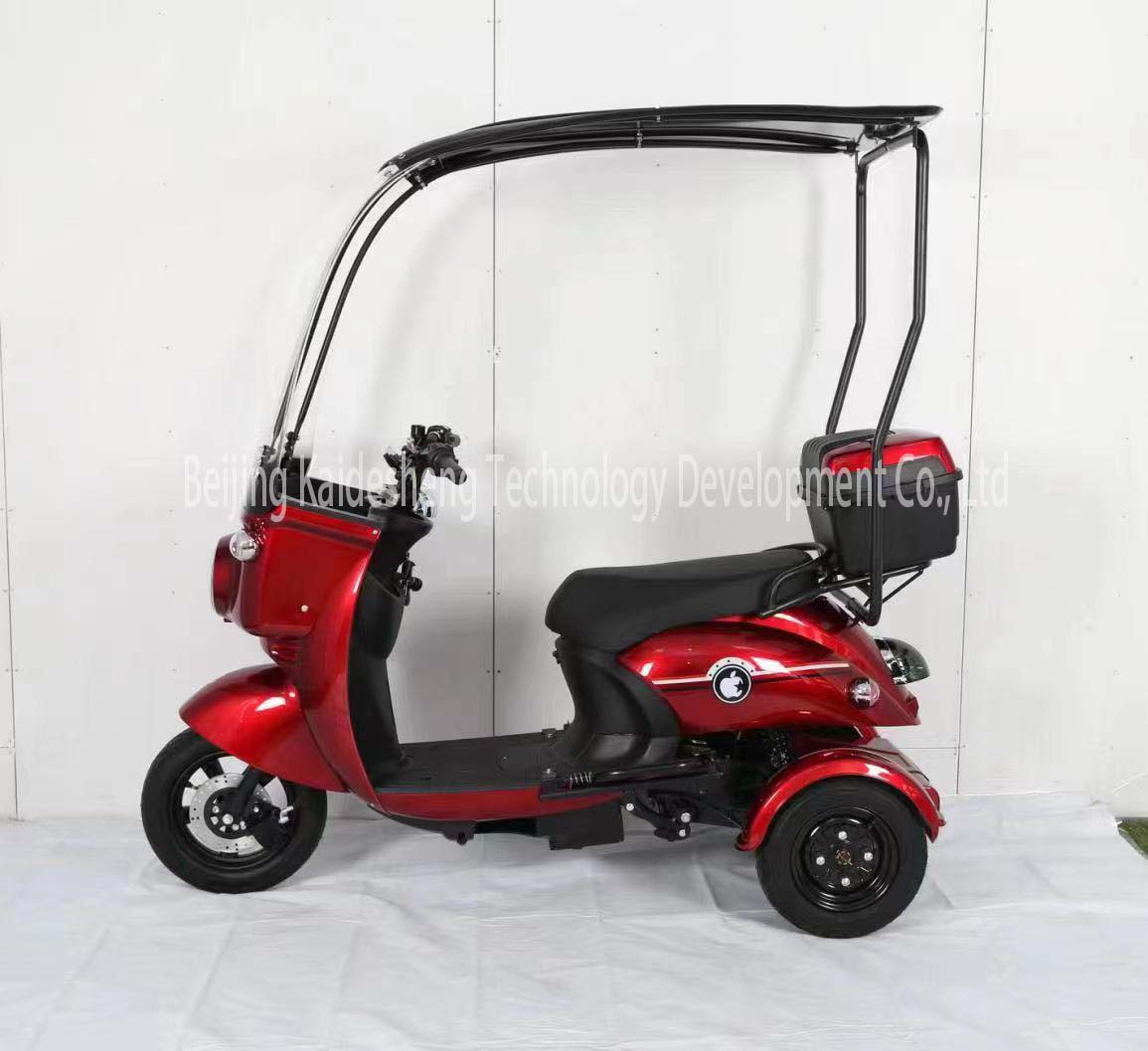 FULIKE New China Adult 3 Wheel Electric Tricycle Trike ev Electric With Roof 