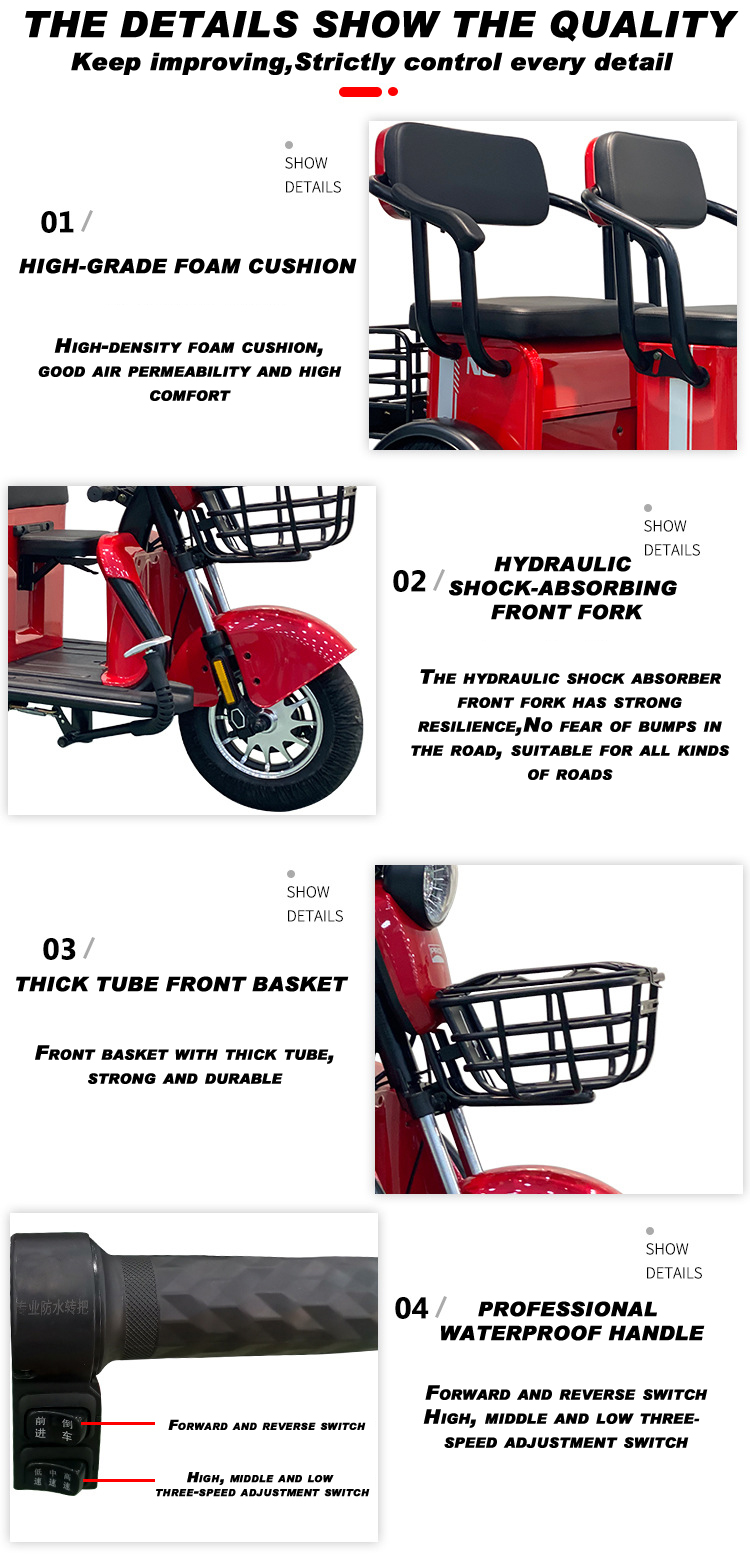 Electric Tricycle F3 (10)